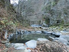 ɂǂ񂳂̏H̋{򋽂ւ̓eʐ^2