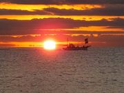 jR񂳂̌K̕lC̓eʐ^1