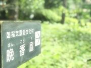 ߂̂́yxْzӍIiwdvj̓eʐ^2