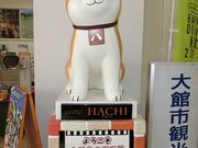 ɂǂ񂳂́iЁjَsό̓eʐ^3