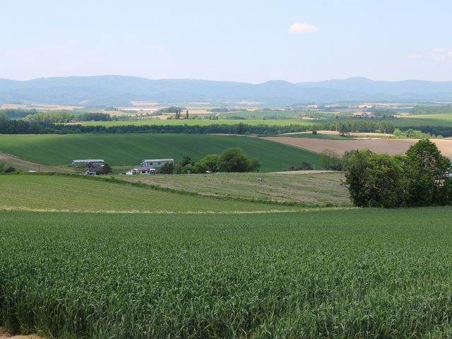 �p�m���}���[�h_�p�m���}���[�h