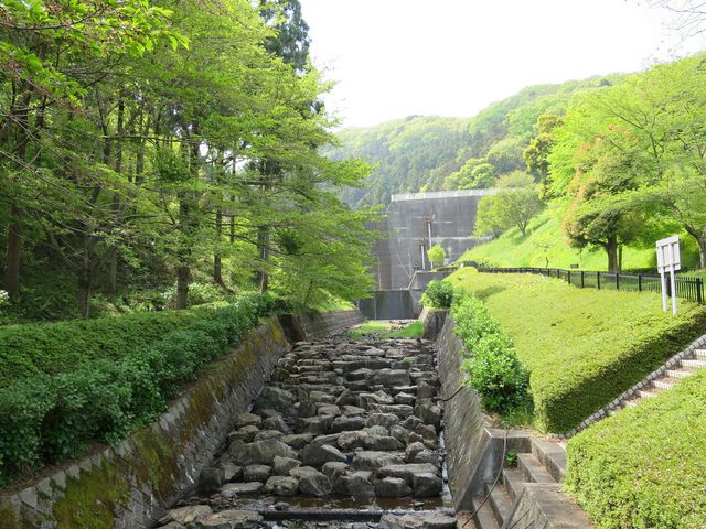 MINT̐썻h_̃AWTC̓eʐ^1