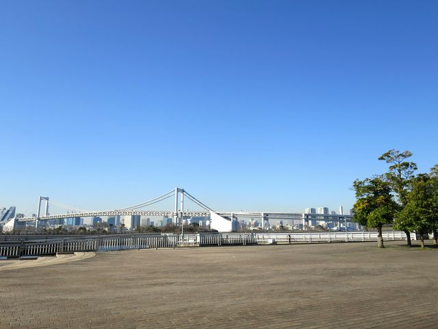 �����_�����