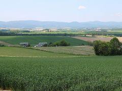 񂳂̃pm}[hւ̓eʐ^1