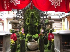 topology����̖@�P���ւ̓��e�ʐ^1