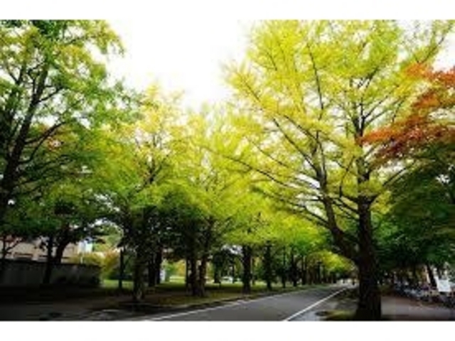 �k��C�`���E����_�k��C�`���E����