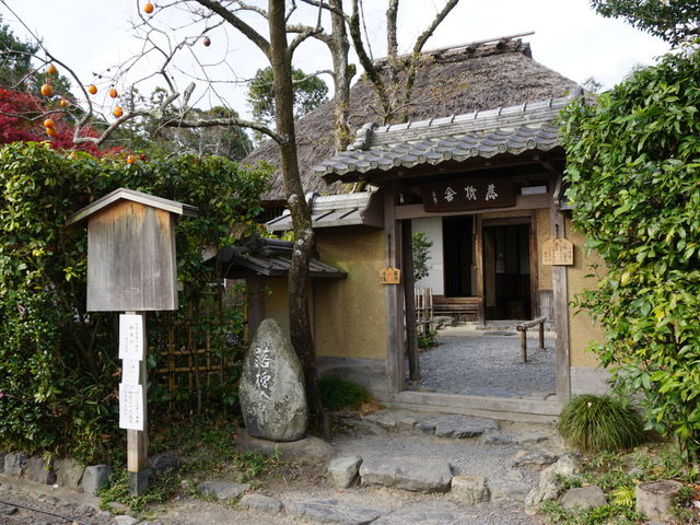 ����_���`��