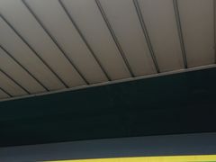 ky�A�K�^����̏��c�}�� �o���w�ւ̓��e�ʐ^1