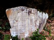 ڂ炳̎c̐Α\O̓eʐ^1