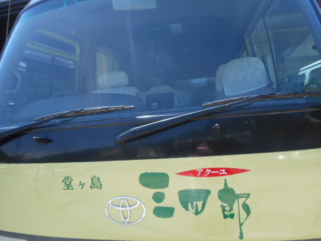 ���}��_���P������