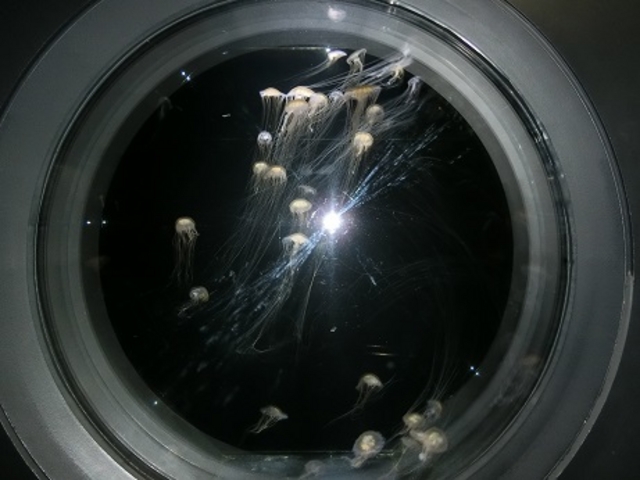 ���z�I�Ȃ��炰_�߉��s�����ΐ����ف@���X