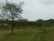 L^J̌ܗ֍X|[cK[f̓eʐ^2