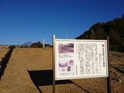 ̈ɗǌΓ厛qՂ̓eʐ^1