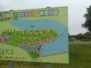 L^J̌ܗ֍AJfBA̓eʐ^2