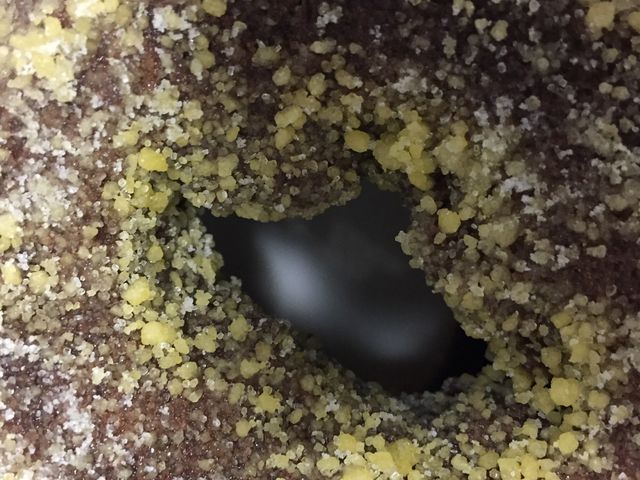 񂯂񂳂̃~X^[h[icOA{XVbv̓eʐ^1