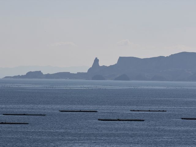 ƓƂŌ͎̂lij_̉w ݂