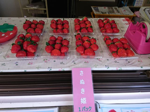 ayukan̂ XJCt@[̓eʐ^1