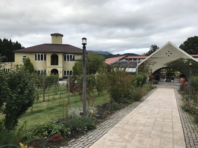 SHIÑXgETEN[[̓eʐ^1