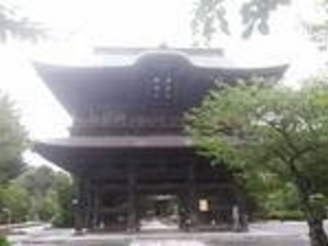 �O��_�������O��