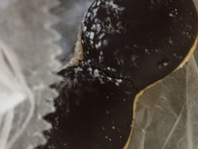 񂯂񂳂̃~X^[h[icAYp[N特Vbv̓eʐ^1