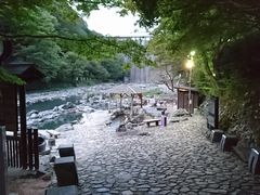 ayukan̍IVCւ̓eʐ^1