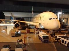 関西国際空港の写真一覧 じゃらんnet