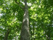 C[XgEbh̔_̐XVR̓eʐ^2