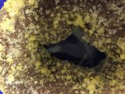 񂯂񂳂̃~X^[h[icrANgVbv̓eʐ^1