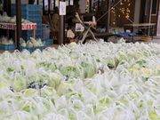 Ƃ񂳂̓̉w ~̓eʐ^6