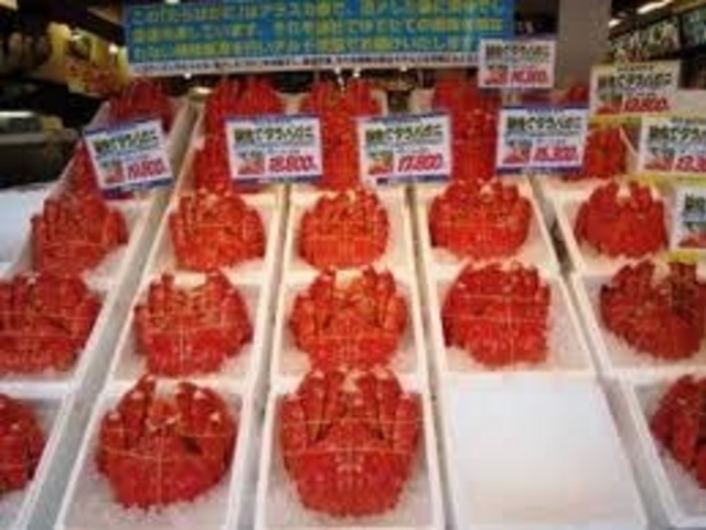 �J�j����������ł��I_���������s���O�s��