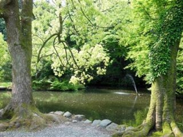 uR_В뉀vȕCCisj_R_В뉀