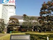 `bN̔ߎ𑢎ق̓eʐ^1