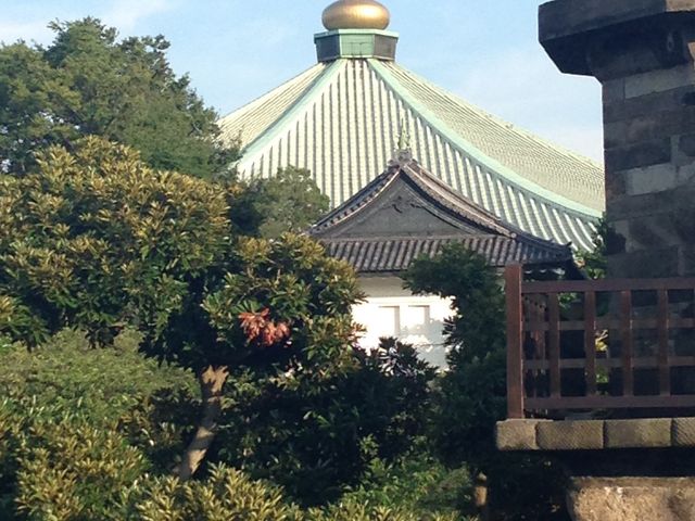 ���{������_���{������