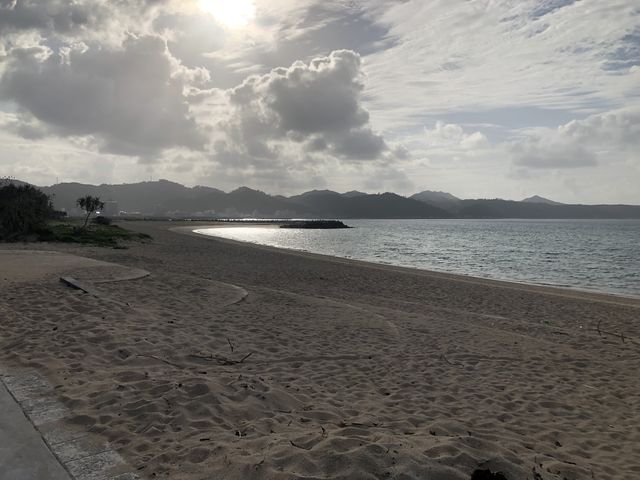 ���i_21���I�̐X�r�[�`