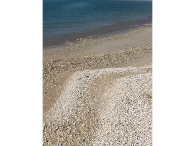 �r�[�`_�Ɍv�r�[�`