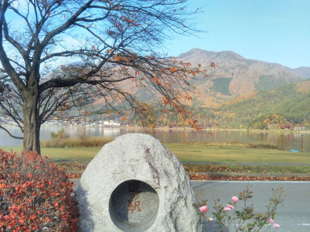 ���C����_���C����