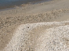 [Â̈Ɍvr[`ւ̓eʐ^1