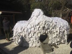 Ƃ񂳂̈䗅{ւ̓eʐ^1