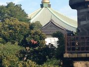 ʂ܂񂳂̓{ق̓eʐ^1