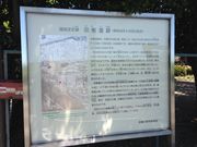 ʂ܂񂳂̓c\ق̓eʐ^1