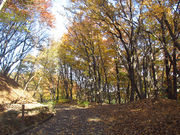 [oXeBA04̈钆̓eʐ^1