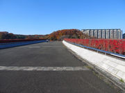 [oXeBA04̈钆̓eʐ^4