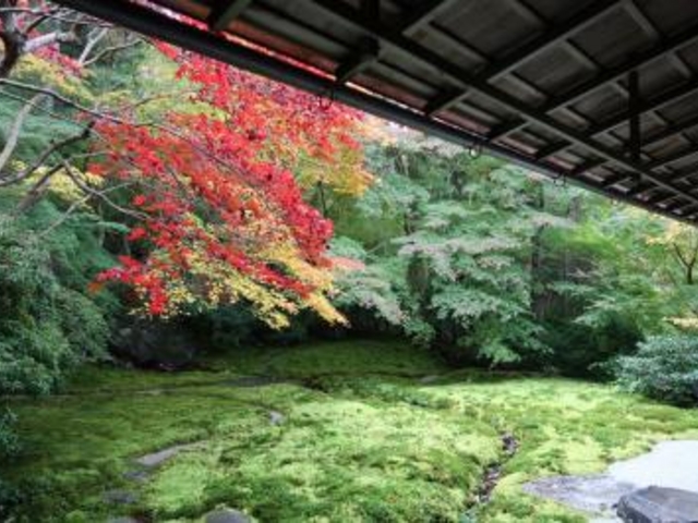 �ڗ����@_�ڗ����@