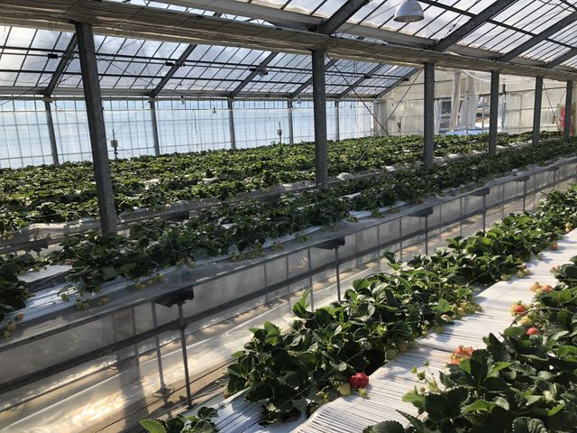 �n�E�X���͒g�����ł��i�������炢�j_�Ԃ���t���[�c�����h