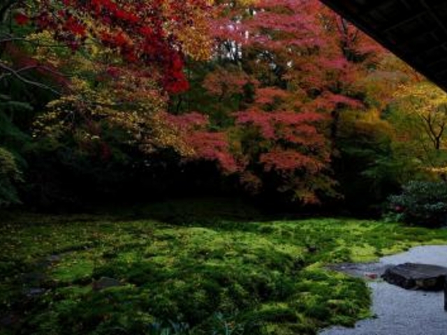 �g�t_�ڗ����@