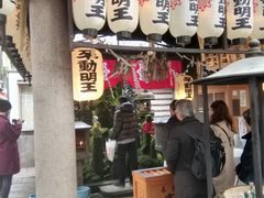 �E���g���}������̖@�P���ւ̓��e�ʐ^2