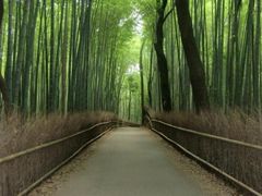 surf̒|т̓ւ̓eʐ^1