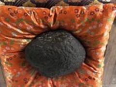 Ђ͂񂳂̍{_Ђւ̓eʐ^1