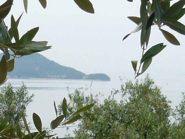 EɁgK̃I[uh̗tʂĂ܂B_̉w@I[u