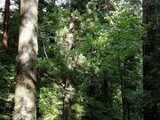 DoubleO7̉HR@pq̓eʐ^3